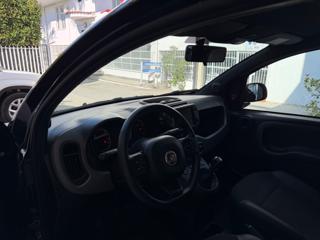 FIAT Panda usata 36