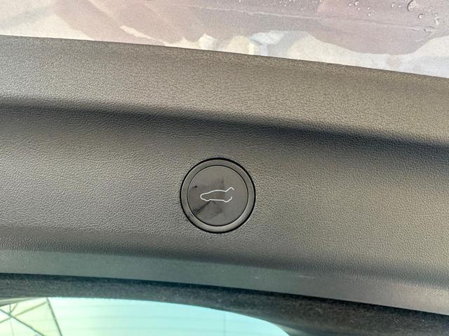 TESLA Model Y usata, con ESP