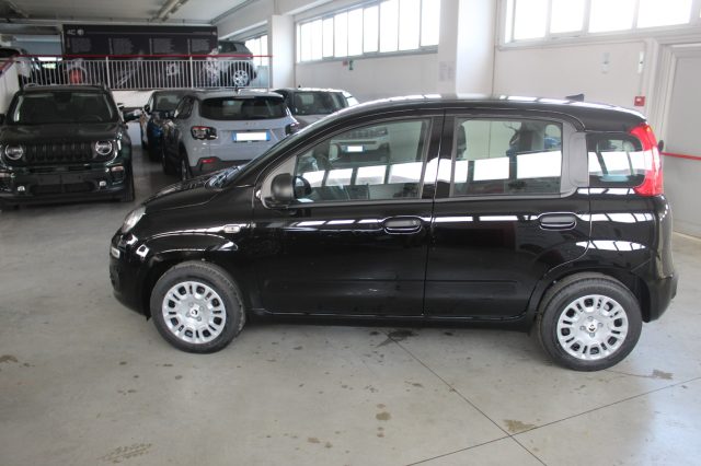 FIAT Panda usata, con Airbag Passeggero