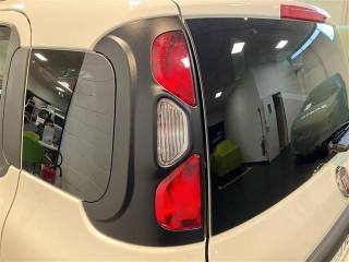 FIAT Panda usata, con Fendinebbia