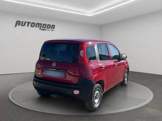 FIAT Panda usata, con Airbag Passeggero