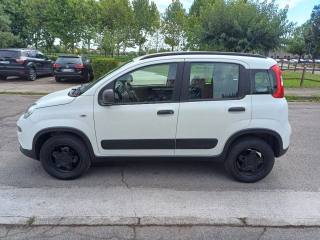 FIAT Panda usata 33