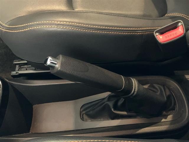 DACIA Spring usata 19