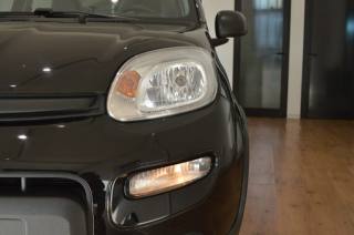 FIAT Panda usata, con Antifurto
