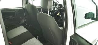 FIAT Panda usata 38