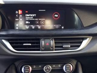 ALFA ROMEO Stelvio usata, con Filtro antiparticolato