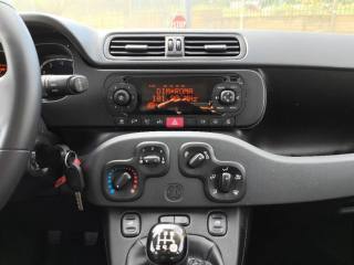 FIAT Panda usata 9