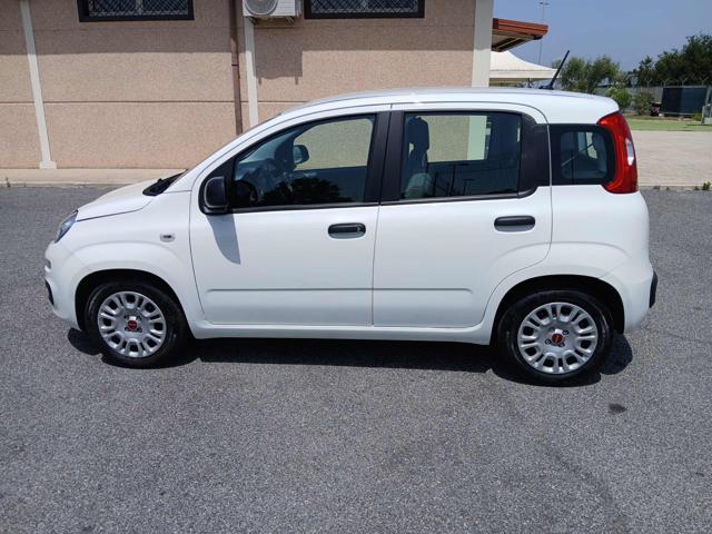 FIAT Panda usata, con Servosterzo