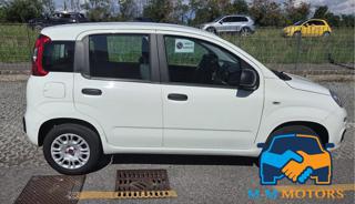 FIAT Panda usata, con Airbag