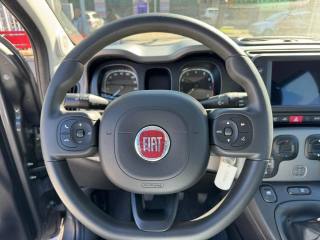 FIAT Panda Cross usata, con Cerchi in lega