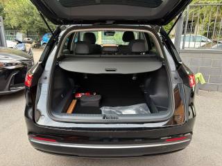 GEELY Starray EM-i usata, con Vetri oscurati