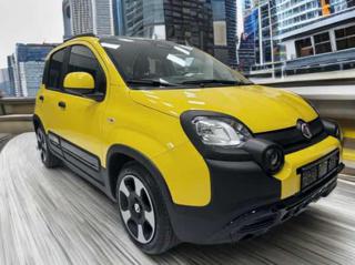 FIAT Panda Cross usata, con Airbag