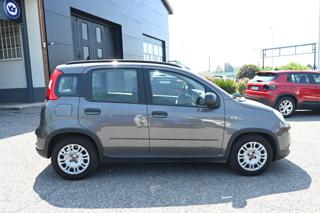 FIAT Panda usata, con Alzacristalli elettrici