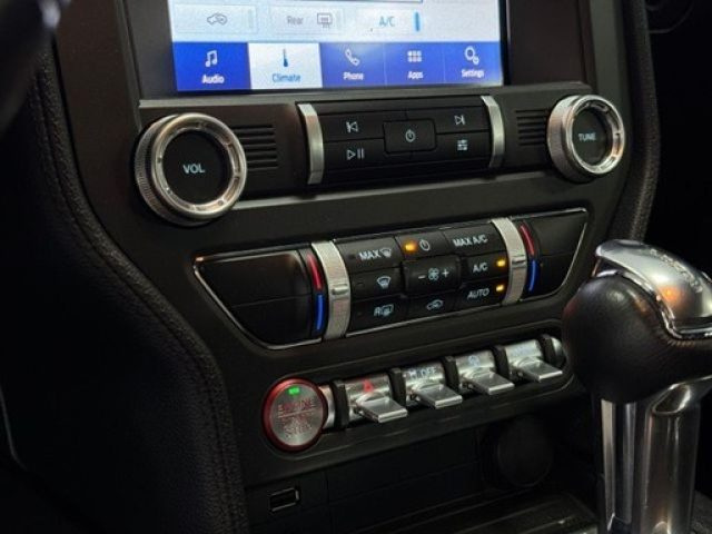 FORD Mustang usata, con Fendinebbia