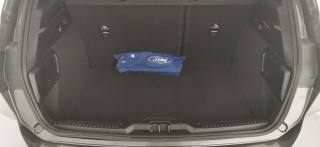 FORD Focus usata, con Vetri oscurati
