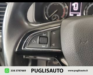 SKODA Karoq usata, con Servosterzo