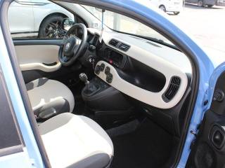 FIAT Panda usata, con Fendinebbia