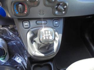 FIAT Panda usata 21