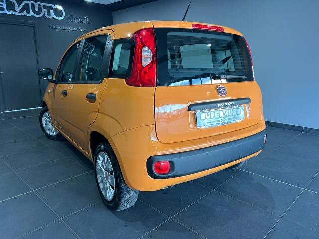 FIAT Panda usata, con Airbag Passeggero