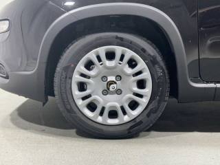 FIAT Panda usata, con Immobilizzatore elettronico