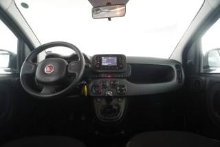 FIAT Panda usata 4