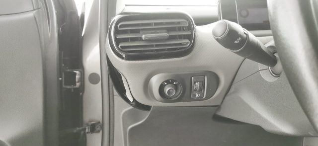 CITROEN C4 Cactus usata 55