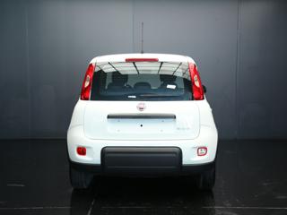 FIAT Panda usata, con Antifurto
