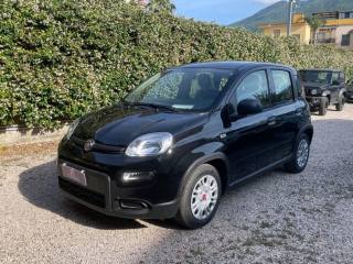 FIAT Panda usata, con Airbag Passeggero