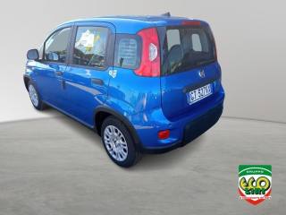 FIAT Panda usata, con Antifurto