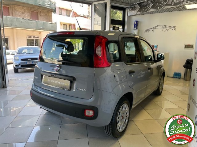 FIAT Panda usata 19