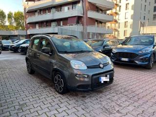 FIAT Panda usata 2