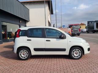 FIAT Panda usata, con Airbag Passeggero