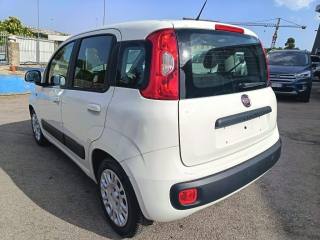 FIAT Panda usata 5