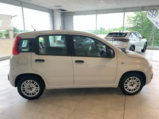FIAT Panda usata, con Climatizzatore