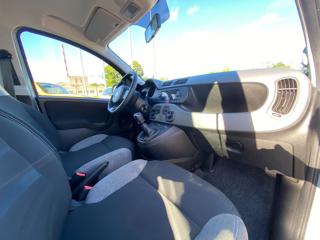 FIAT Panda usata 40