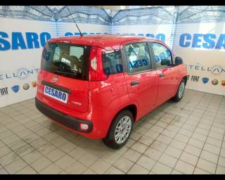 FIAT New Panda usata, con Alzacristalli elettrici