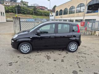 FIAT Pandina usata, con Airbag laterali