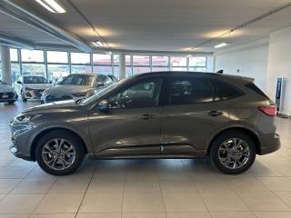 FORD Kuga usata, con Airbag Passeggero