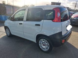 FIAT Panda usata 5