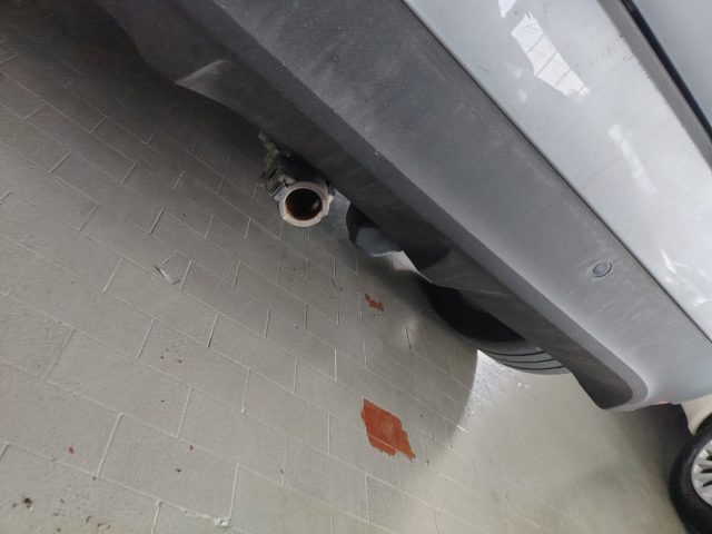 RENAULT Scenic usata, con Filtro antiparticolato