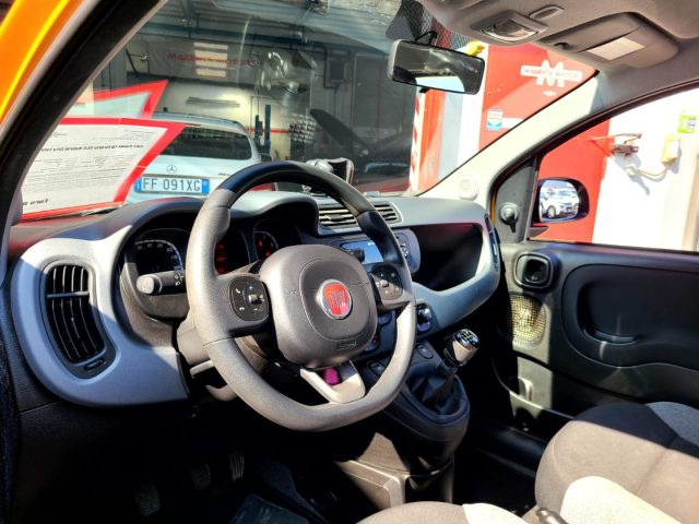 FIAT Panda usata 16