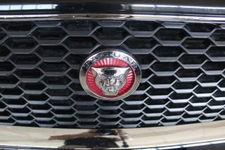JAGUAR E-Pace usata, con Fari LED