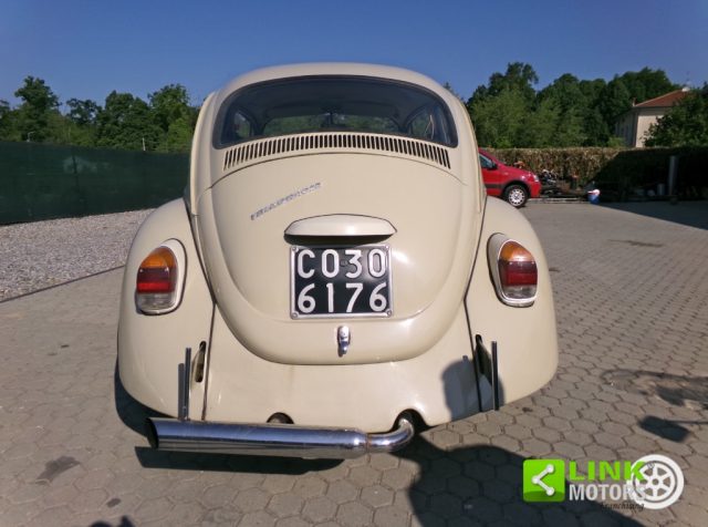 VOLKSWAGEN Maggiolino usata 4