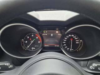 ALFA ROMEO Stelvio usata, con Fendinebbia