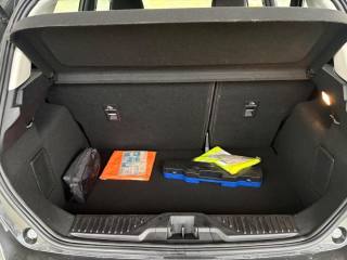 FORD Fiesta usata, con Cerchioni in acciaio