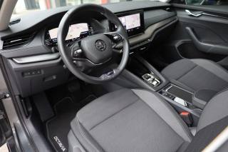 SKODA Octavia usata, con Servosterzo