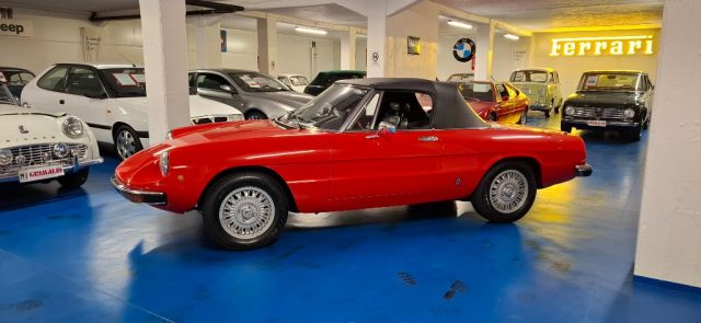 ALFA ROMEO Spider usata 15