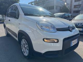 FIAT Panda usata, con Alzacristalli elettrici