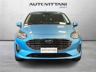 FORD Fiesta usata 3