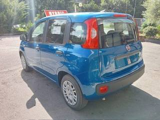 FIAT Panda usata, con Airbag laterali